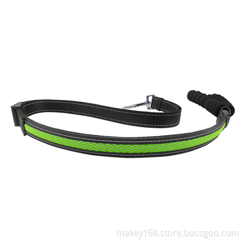 Led Illuminated Light Up Reflective Dog Leash